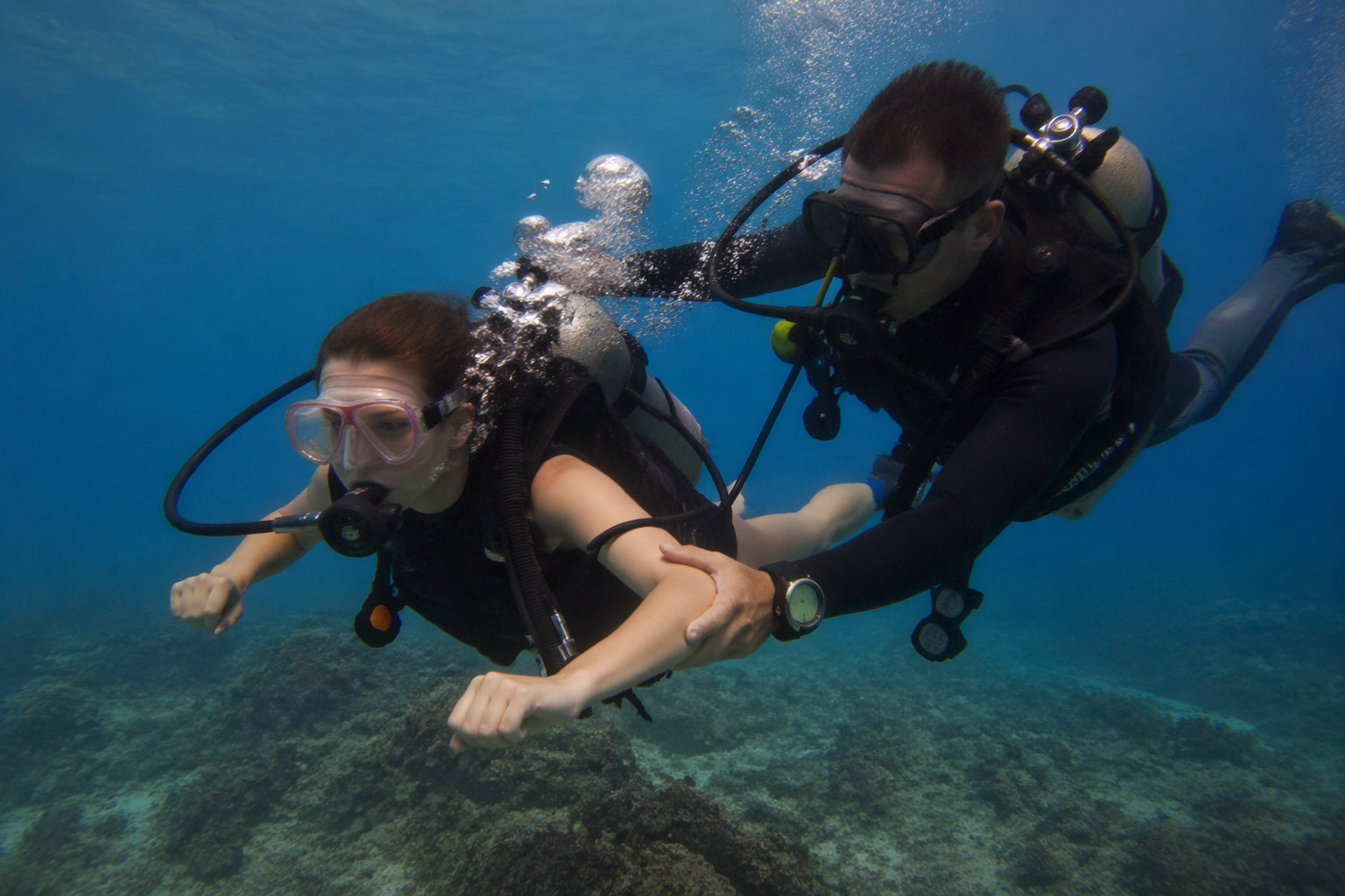 Divemaster - профессиональный дайвер Дайвмастер - профессиональный дайвер